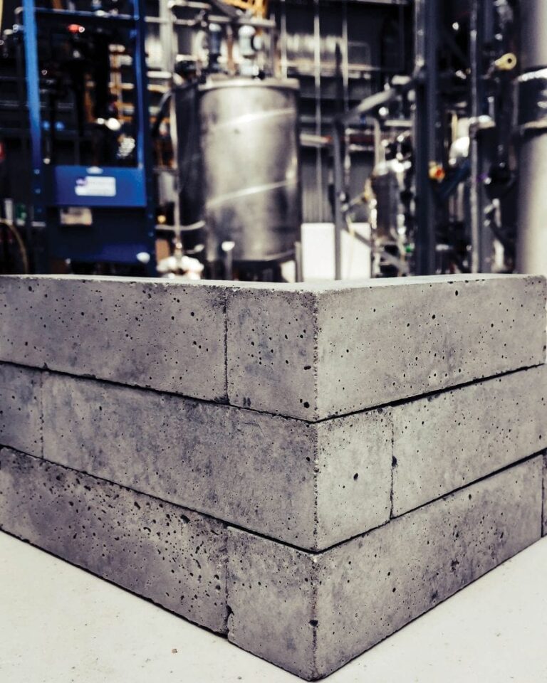 Bricks made by using carbon dioxide 