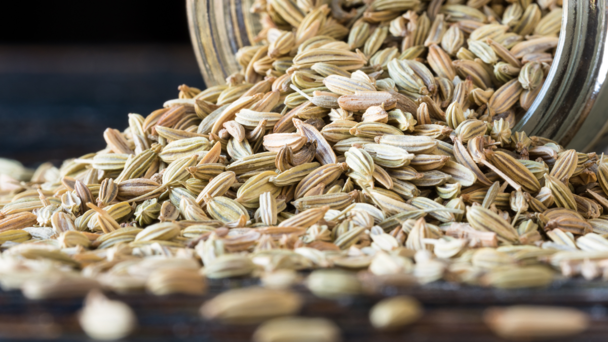 Unlocking 7 Fennel Seeds Benefits For A Healthier You!
