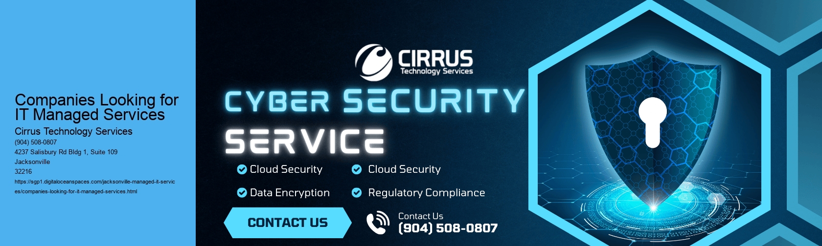 Companies Looking for IT Managed Services