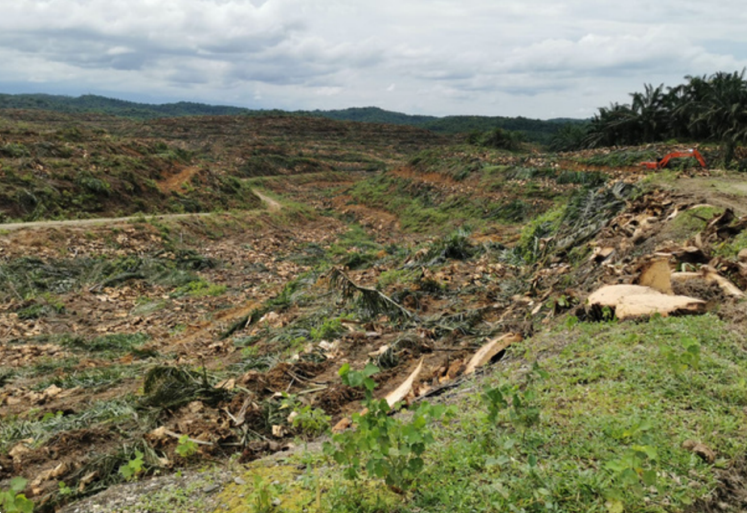 Unlocking Success: Innovative Strategies for Modern Businesses in an Evolving Marketplace