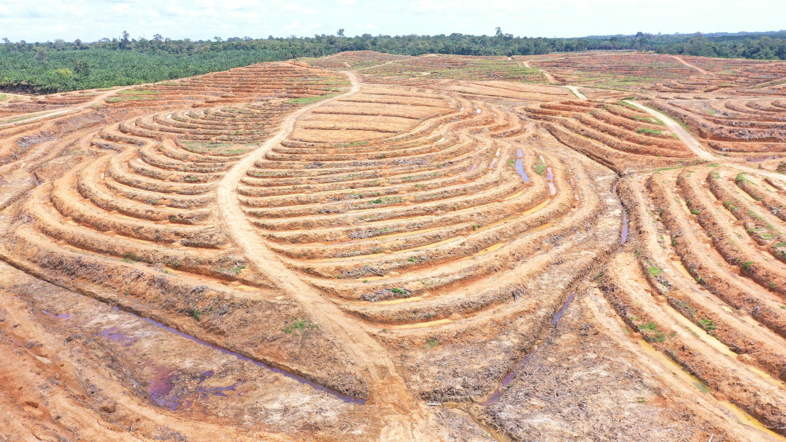Terracing
