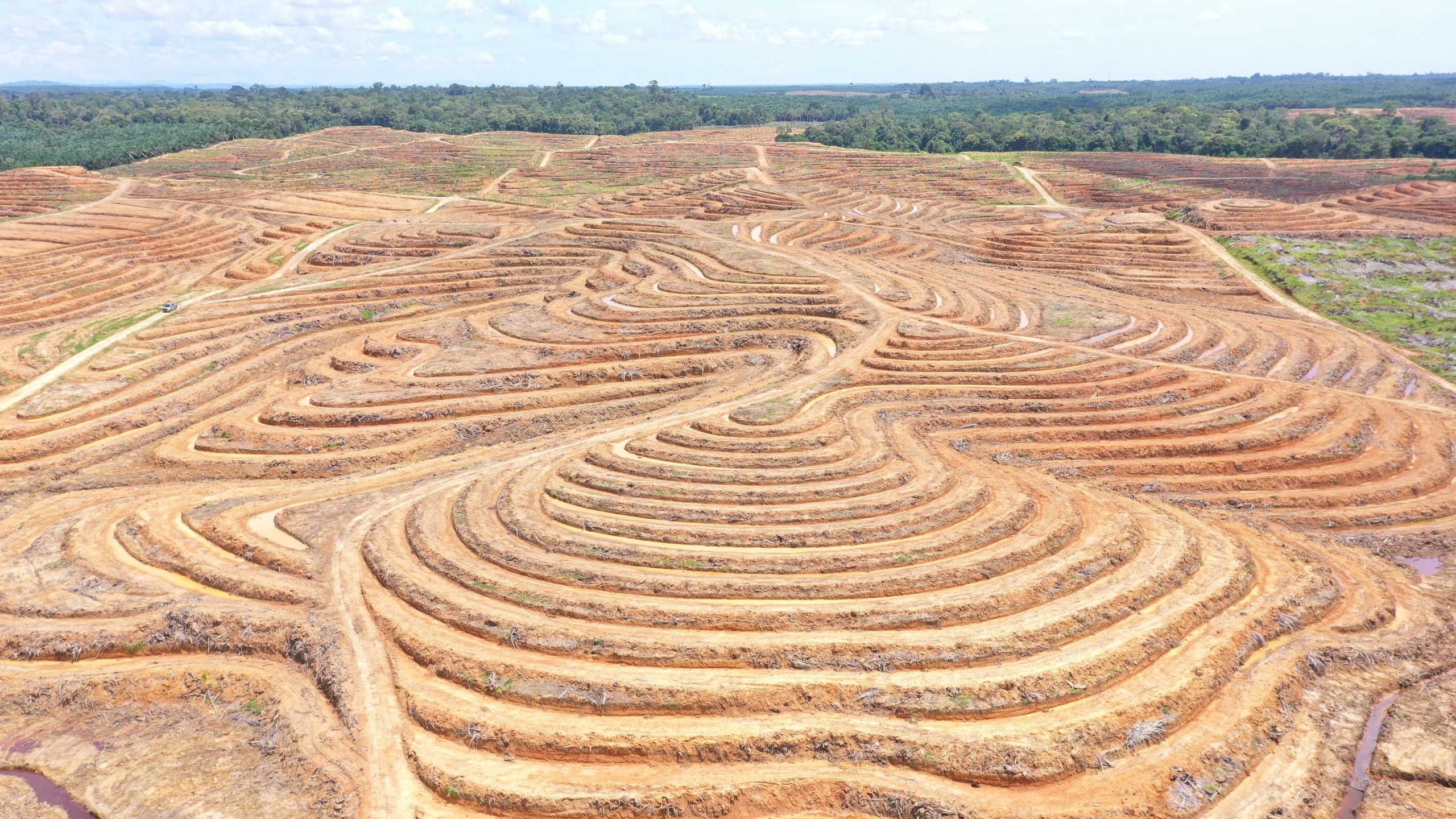Terracing