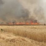 इटवा थाना क्षेत्र के तीन गांवों में लगी आग से 60 बीघा फसल जल कर राख, दो दर्जन किसानों में हाहाकार