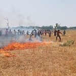 मिश्रौलिया क्षे़त्र में आग का कहर, दर्जन भर किसानों की गेहूं की फसल जल कर राख