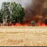 24 घंटों में आगलगी की घटनाओं से 75 बीघा फसल जल कर राख, दर्जनों किसानों में कोहराम