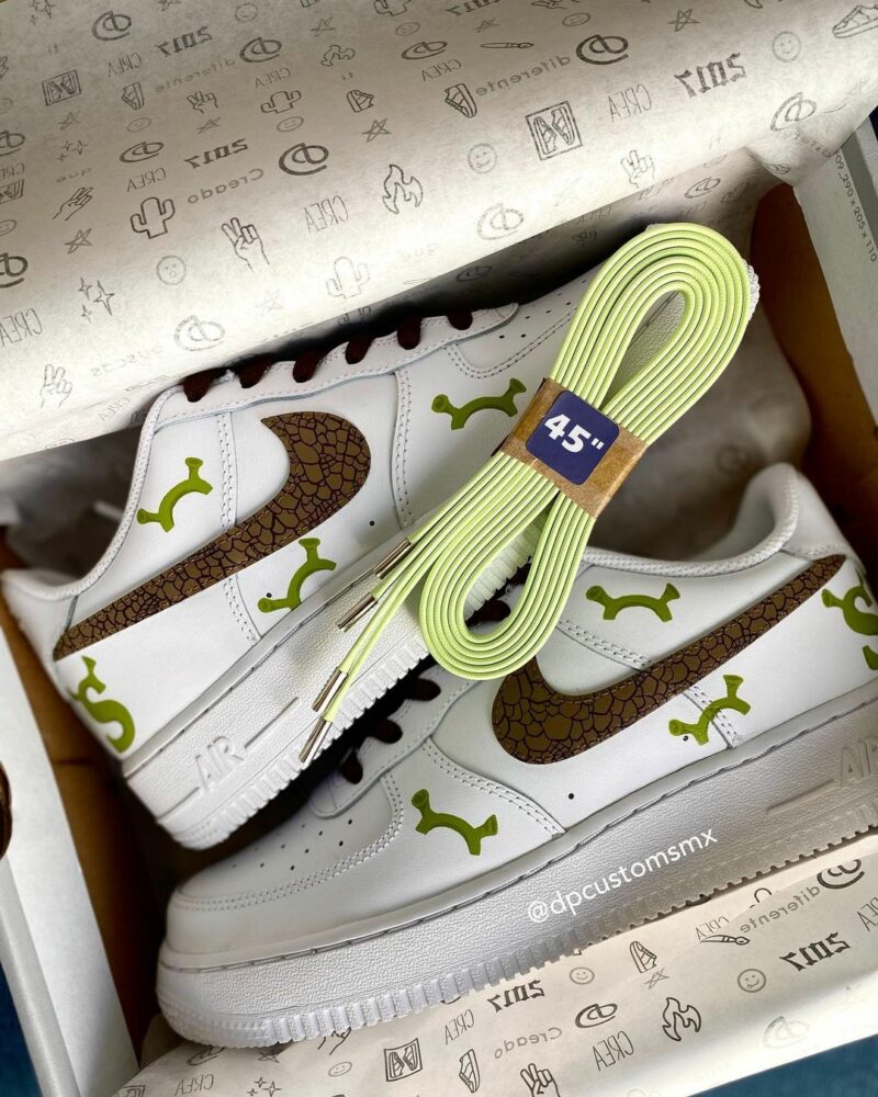 Shrek Air Force 1 Custom