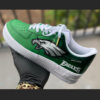 Custom Philadelphia Eagles Air Force 1