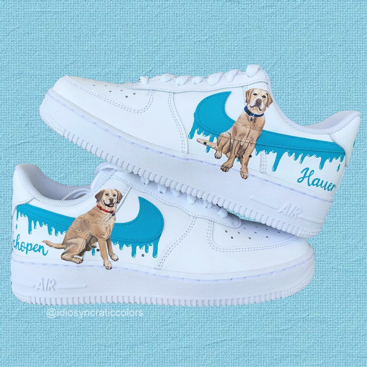 Labradores Air Force 1 Custom