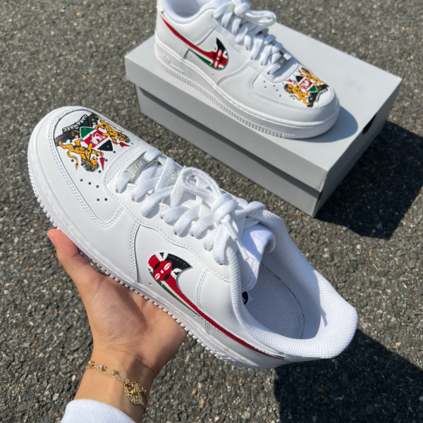 Kenya Custom Air Force 1