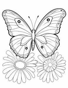 kleurplaat-vlinder-15