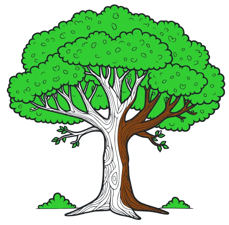 Banyan Tree coloring page, with a big B to introduce letters to kids.  Suitable for children's coloring books and letter recognition through banyan  trees. Editable vectors Plant illustration 15695328 Vector Art at