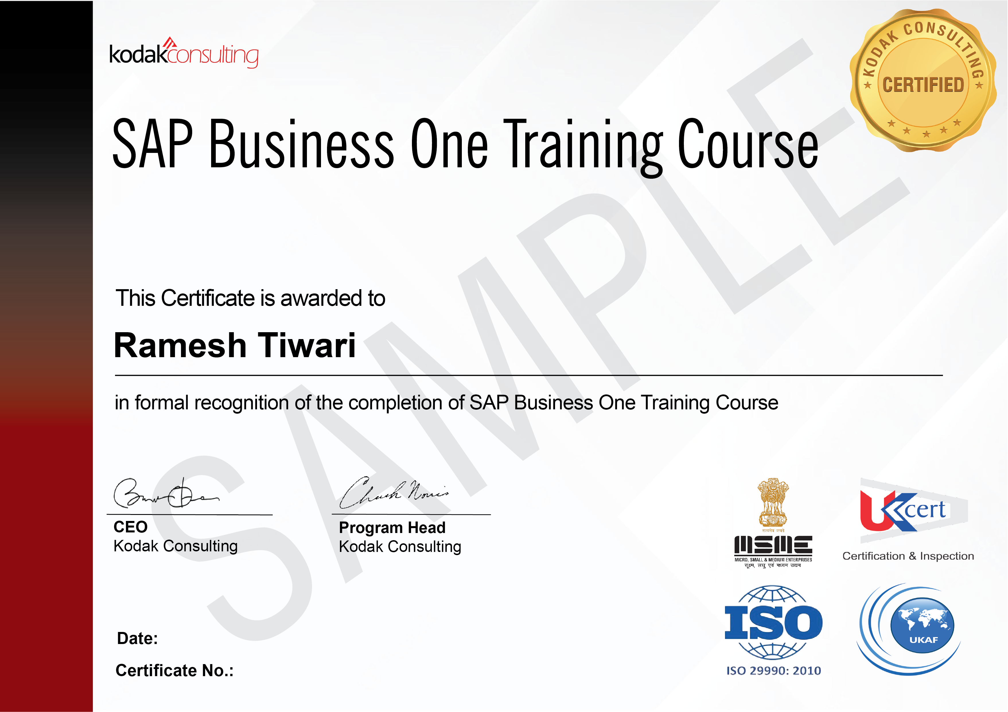 Boost Your Skills with SAP Business One Training Course