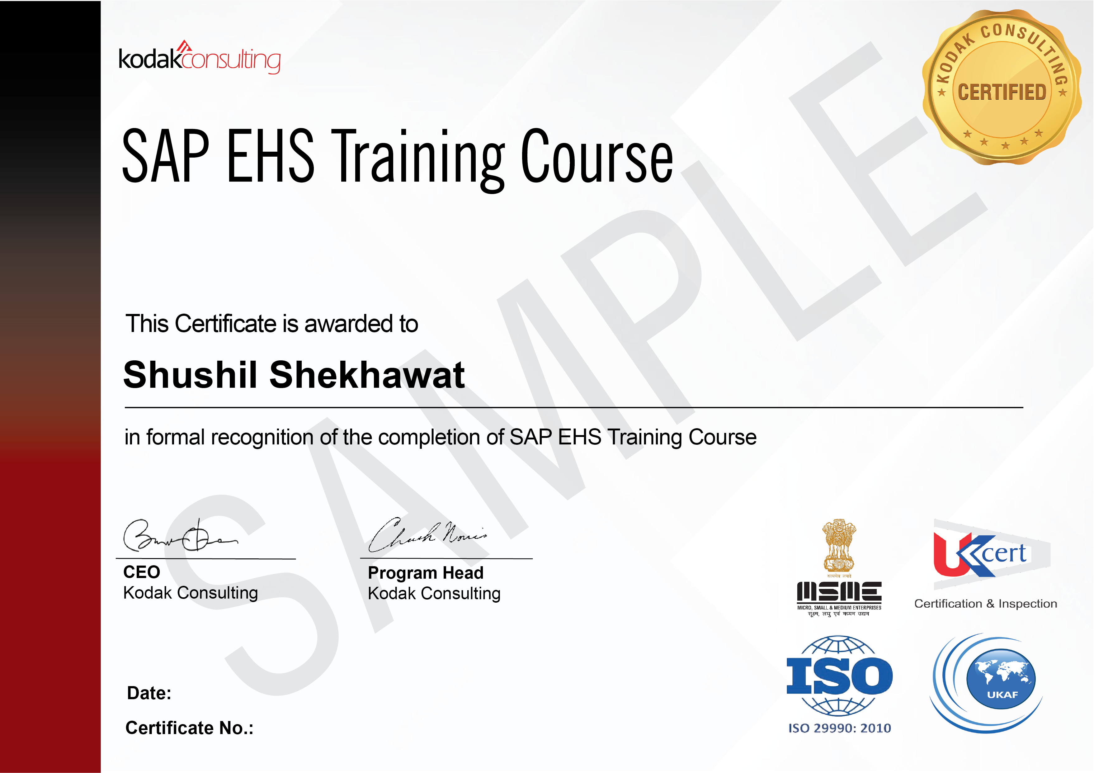 SAP EHS Course Kodak Consulting