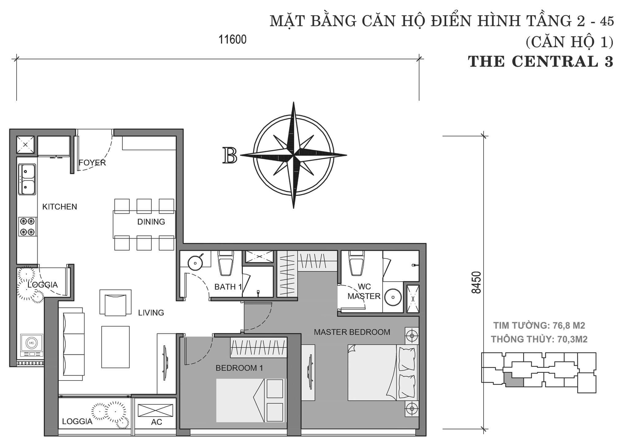 layout căn hộ số 1 tòa Central 3 tầng 2-45  