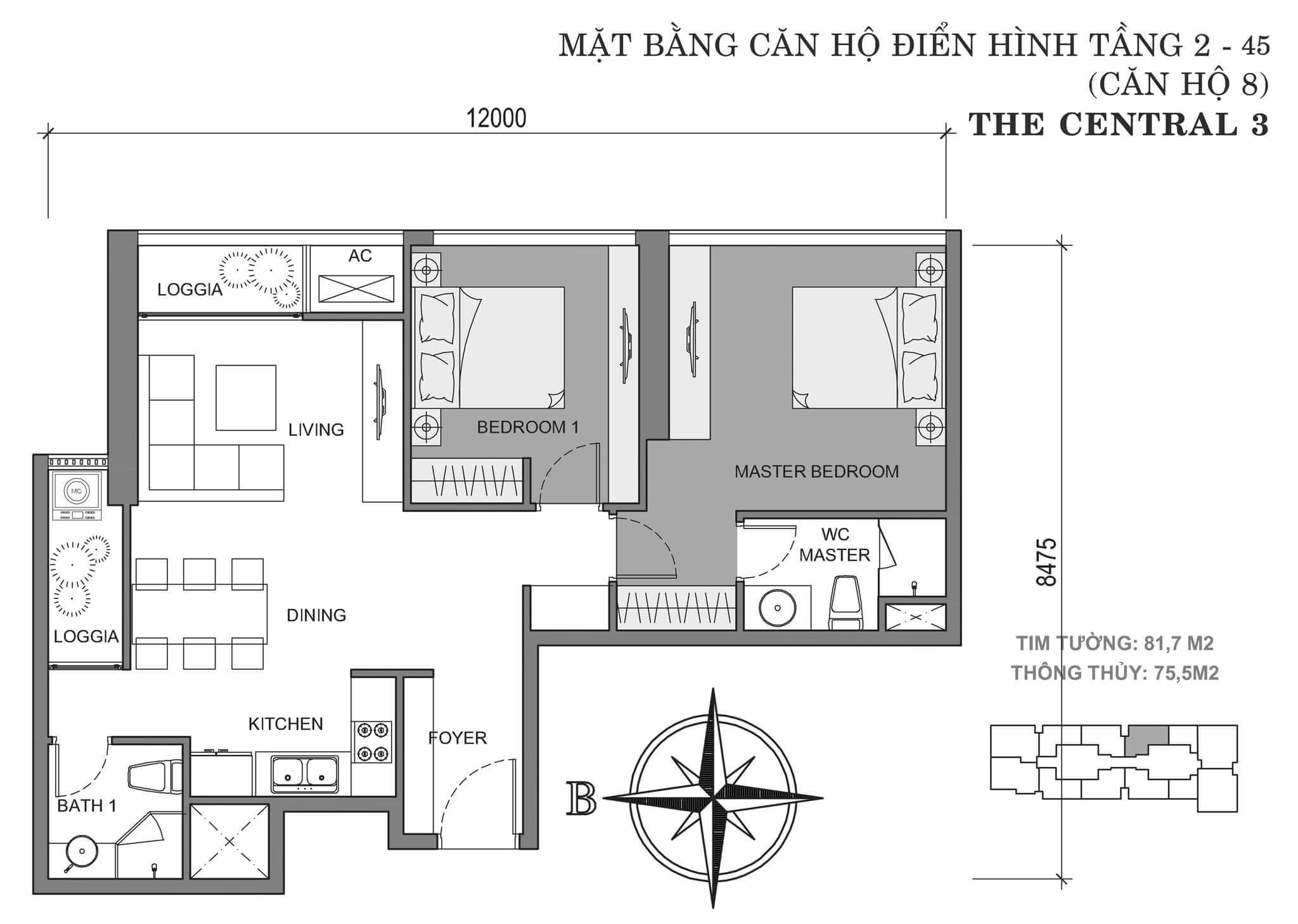 layout căn hộ số 8 tòa Central 3 tầng 2-45  