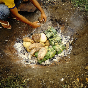 Featured Blog Image