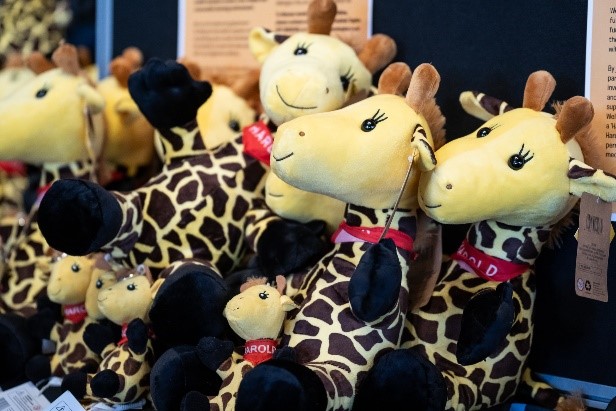 Giraffe soft toys