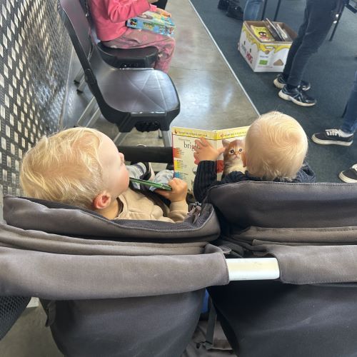 Babies in a pram with picture books