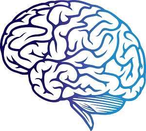 Outline of a brain in gradient colour