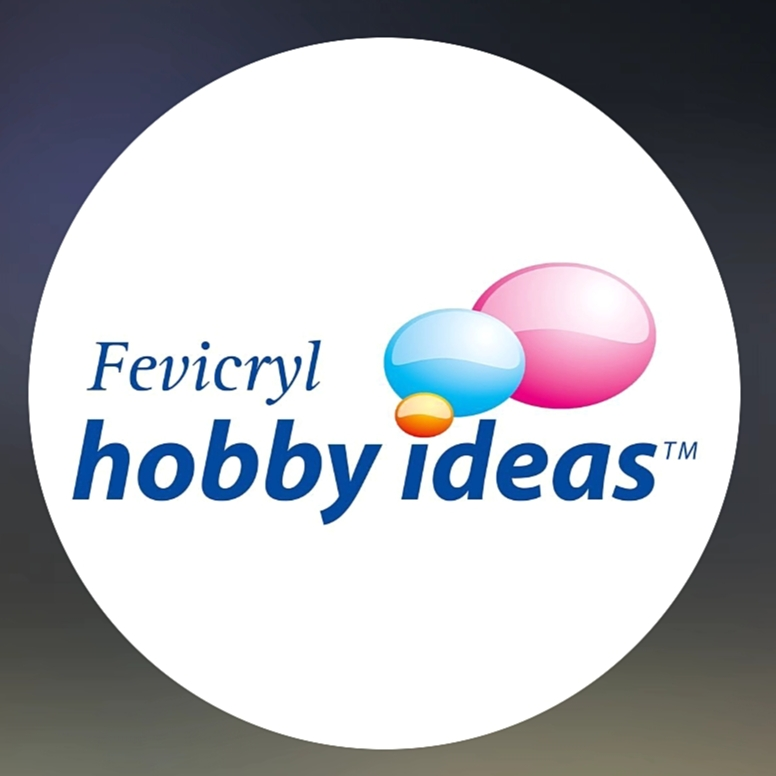 fevicryl hobby idea