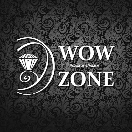 wow zone interiors