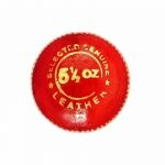 Shane Warne Cricket Leather Ball (RED)