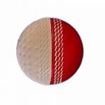 Gima Cricket Riva Sweep Ball