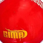 Gima Cricket Riva Sweep Ball