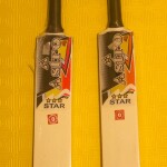 Astro Softball Cricket Bat