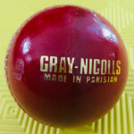 GRAY-NICOLLS Cricket Leather Ball