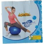 Gym Balls Exercises and Posture Correction (Foot Pump included)