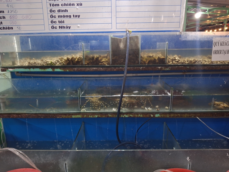 Food picture of Hải Sản Lộc Quý Cang (Seafood Restaurant)
