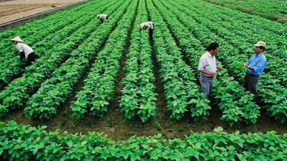 Hồ sơ đăng ký hợp tác xã theo quy định năm 2023