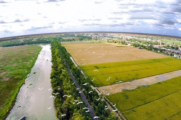 Thủ tục mua bán đất nông nghiệp