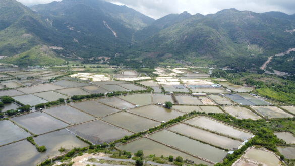 Quy định tách thửa đất thổ cư