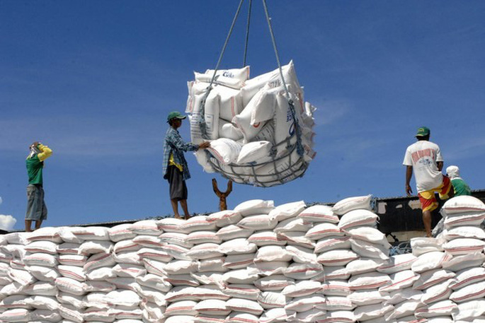 Quy định về quyền kinh doanh xuất khẩu gạo năm 2023 như thế nào?