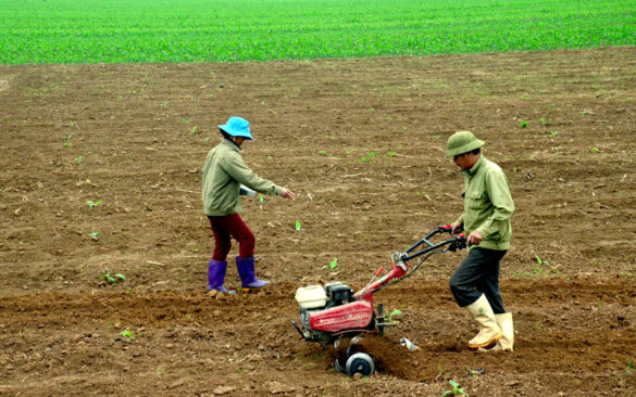 Sử dụng đất liên tục