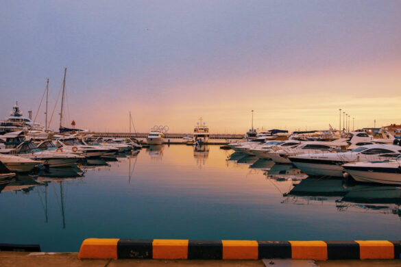 Tải xuống mẫu giấy phép kinh doanh vận tải mới năm 2023