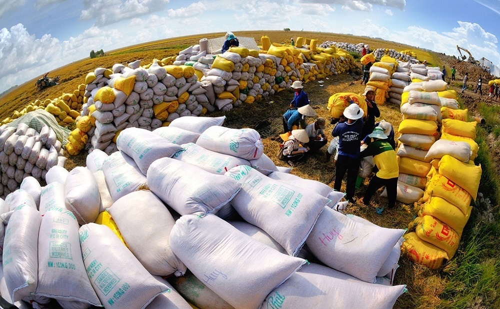 Điều kiện xuất khẩu gạo ở Việt Nam