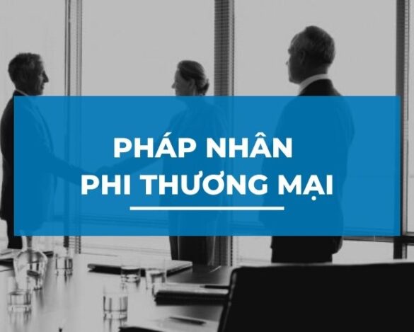 pháp nhân phi thương mại là gì