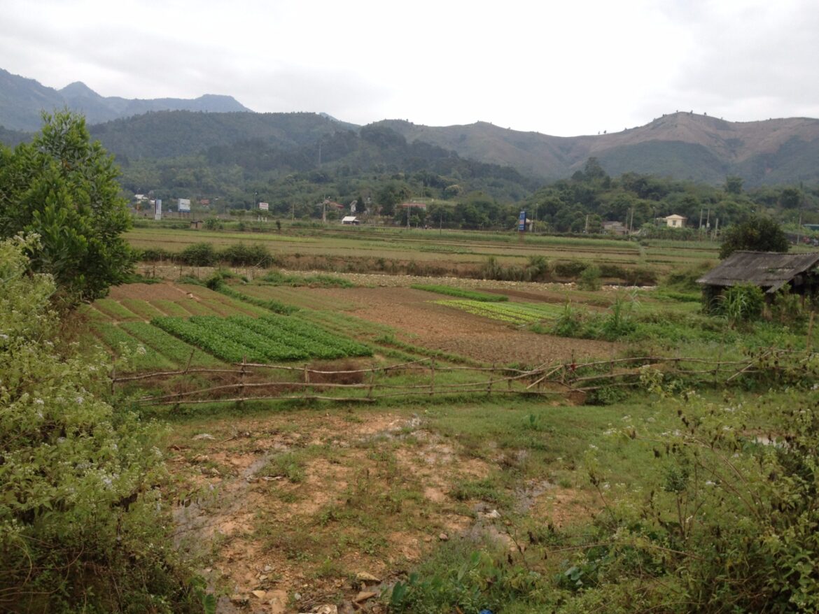 Không sử dụng đất qua 12 tháng