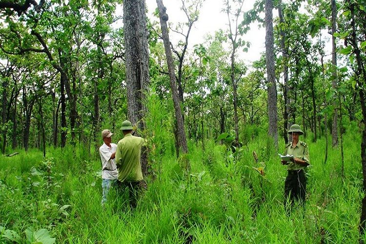 Thẩm quyền thu hồi đất rừng đặc dụng thuộc về cơ quan nào?