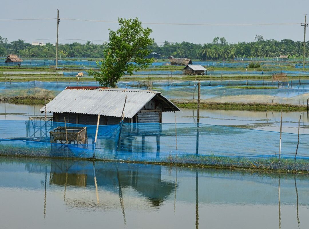 Thủ tục chuyển đổi đất nuôi trồng thủy sản sang đất ở tại Việt Nam năm 2023