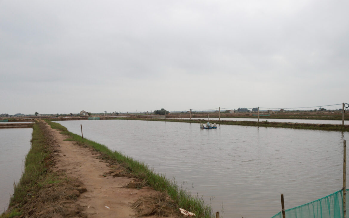 Hướng dẫn chuyển đổi đất nuôi trồng thủy sản sang đất ở 2023