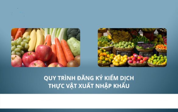Mẫu đơn đăng ký kiểm dịch thực vật nhập khẩu mới năm 2023