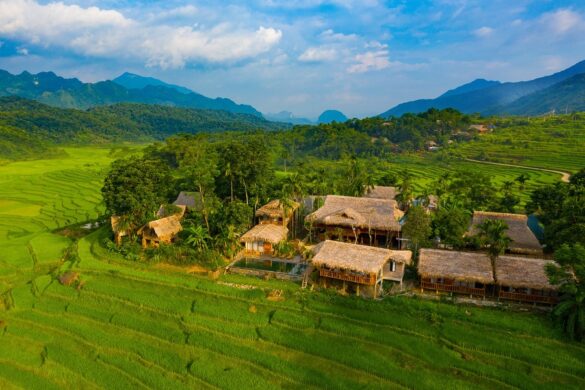 Mức xử phạt tự ý xây dựng chuồng trại trên đất trồng lúa năm 2023