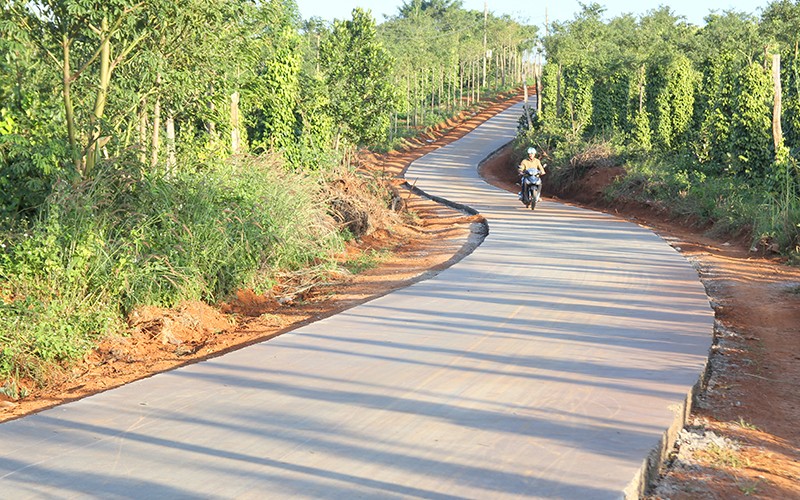 Mẫu đơn xin làm đường bê tông nông thôn