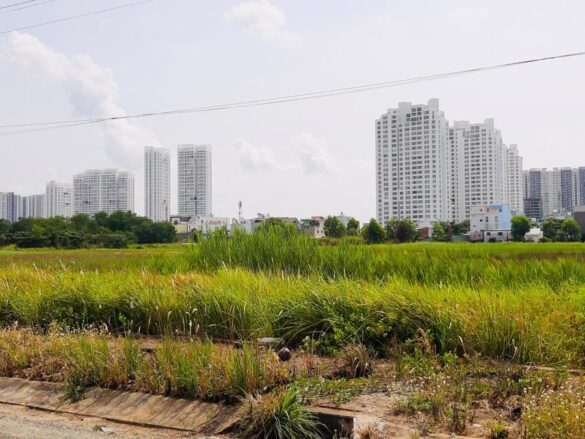 Thủ tục thu hồi đất sử dụng không đúng mục đích