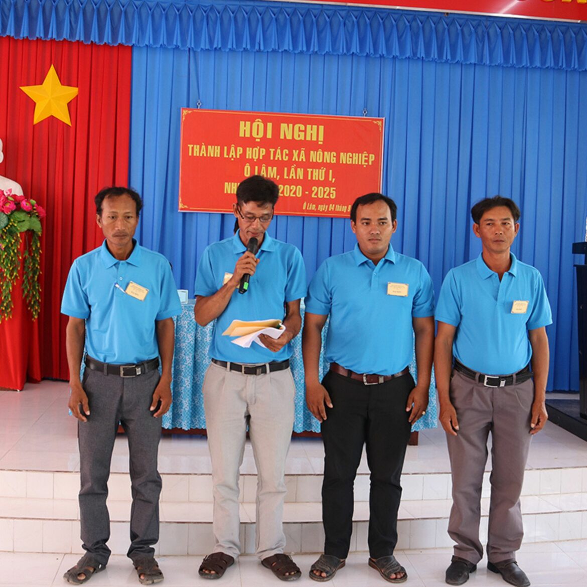 Mẫu giấy chứng nhận góp vốn hợp tác xã mới năm 2023