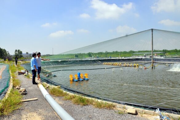 Thủ tục thuê đất 50 năm hiện nay như thế nào